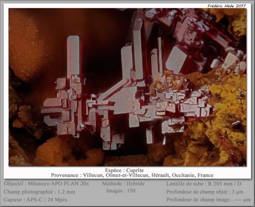 Cuprite<br />Villecun, Olmet-et-Villecun, Lodève Canton, Lodève District, Hérault, Occitanie, France<br />fov 1.2 mm<br /> (Author: ploum)