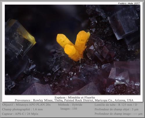 Mimetite and Fluorite<br />Rowley Mine, Theba, Painted Rock District, Painted Rock Mountains, Maricopa County, Arizona, USA<br />fov 1.6 mm<br /> (Author: ploum)