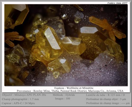 Wulfenite and Mimetite<br />Mina Rowley, Theba, Distrito Painted Rock, Montes Painted Rock, Condado Maricopa, Arizona, USA<br />fov 1.7 mm<br /> (Author: ploum)