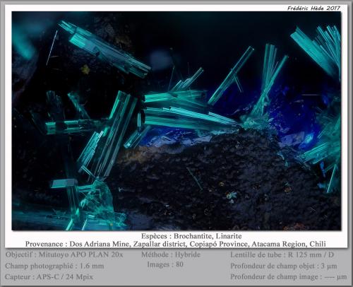 Brochantite<br />Dos Adriana Mine, Zapallar District, Copiapó Province, Atacama Region, Chile<br />fov 1.6 mm<br /> (Author: ploum)