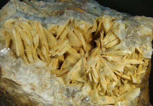 Celestina<br />Minerama II claim, Puente Tablas, Jaén city, Jaén, Comarca Metropolitana de Jaén, Andalusia, Spain<br />Geoda de 9 x 5 cm.<br /> (Autor: Felipe Abolafia)