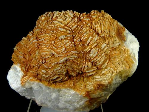 Celestina<br />Minerama II claim, Puente Tablas, Jaén city, Jaén, Comarca Metropolitana de Jaén, Andalusia, Spain<br />6 x 4 x 2 cm.<br /> (Autor: Felipe Abolafia)