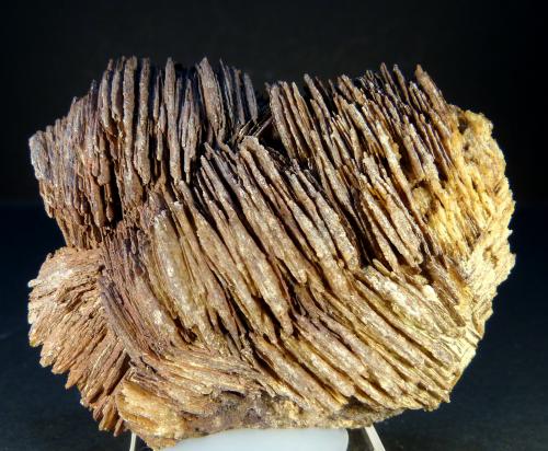 Celestina<br />Minerama II claim, Puente Tablas, Jaén city, Jaén, Comarca Metropolitana de Jaén, Andalusia, Spain<br />6 x 4,5 x 2 cm.<br /> (Autor: Felipe Abolafia)