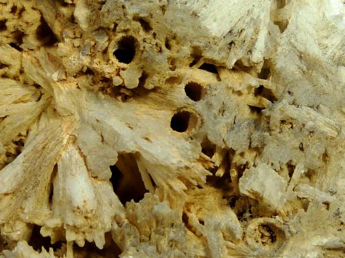 Celestina<br />Minerama II claim, Puente Tablas, Jaén city, Jaén, Comarca Metropolitana de Jaén, Andalusia, Spain<br />12 x 11 x 5 cm.<br /> (Autor: Felipe Abolafia)