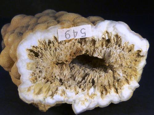 Celestina<br />Minerama II claim, Puente Tablas, Jaén city, Jaén, Comarca Metropolitana de Jaén, Andalusia, Spain<br />5 x 5 x 3 cm.<br /> (Autor: Felipe Abolafia)