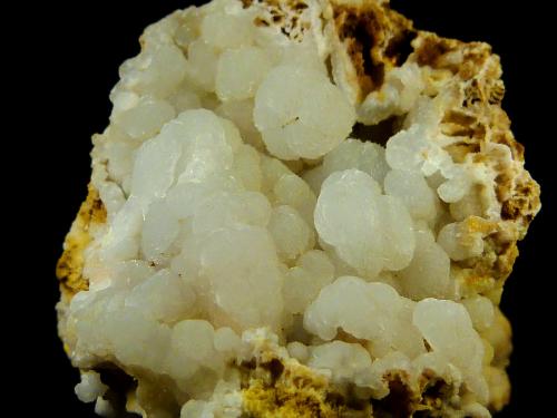 Celestina<br />Minerama II claim, Puente Tablas, Jaén city, Jaén, Comarca Metropolitana de Jaén, Andalusia, Spain<br />3 x 4,5 cm.<br /> (Autor: Felipe Abolafia)