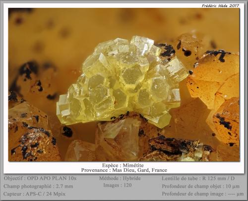 Mimetite<br />Mas Dieu, Mercoirol, Alès, Gard, Occitanie, France<br />fov 2.7 mm<br /> (Author: ploum)