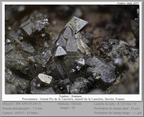 Anatase<br />Grand Pic de la Lauzière, Macizo La Lauzière, Saint-Jean-de-Maurienne, Saboya, Auvergne-Rhône-Alpes, Francia<br />fov 7.5 mm<br /> (Author: ploum)