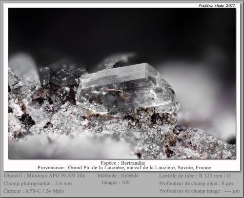 Bertrandite<br />Grand Pic de la Lauzière, Macizo La Lauzière, Saint-Jean-de-Maurienne, Saboya, Auvergne-Rhône-Alpes, Francia<br />fov 3.6 mm<br /> (Author: ploum)