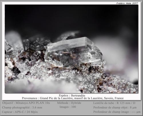 Bertrandite<br />Grand Pic de la Lauzière, La Lauzière Massif, Saint-Jean-de-Maurienne, Savoie, Auvergne-Rhône-Alpes, France<br />fov 3.6 mm<br /> (Author: ploum)