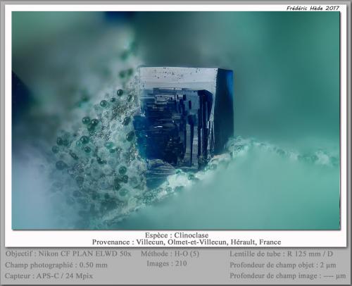 Clinoclase<br />Villecun, Olmet-et-Villecun, Lodève Canton, Lodève District, Hérault, Occitanie, France<br />fov 0.50 mm<br /> (Author: ploum)
