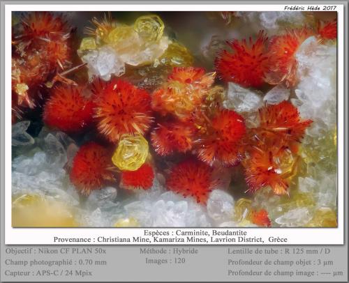 Carminite and Beudantite<br />Christiana Mine, Kamariza Mines, Agios Konstantinos, Lavrion Mining District, Attikí (Attica) Prefecture, Greece<br />fov 0.70 mm<br /> (Author: ploum)