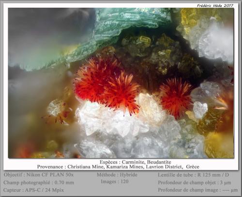 Carminite<br />Christiana Mine, Kamariza Mines, Agios Konstantinos, Lavrion Mining District, Attikí (Attica) Prefecture, Greece<br />fov 0.70 mm<br /> (Author: ploum)