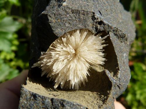 Aragonito<br />Niu Corbu Quarry, Noragugume, Nuoro Province, Sardinia/Sardegna, Italy<br />diámetro: 3 cm<br /> (Autor: nerofis2)