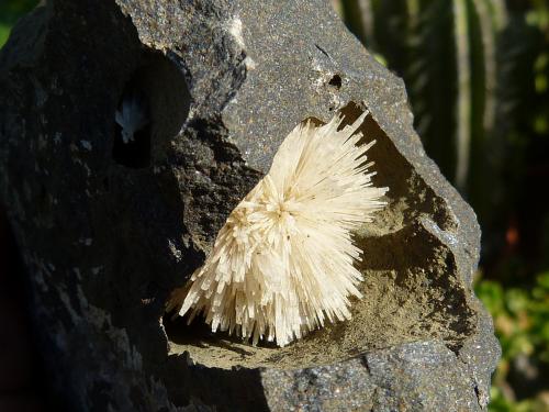 Aragonito<br />Cantera Niu Corbu, Noragugume, Provincia Nuoro, Cerdeña/Sardegna, Italia<br />diámetro: 3 cm<br /> (Autor: nerofis2)