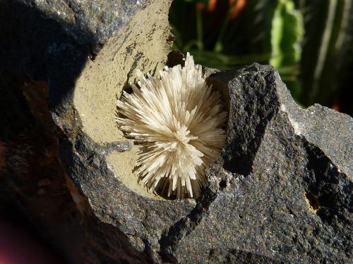 Aragonito<br />Niu Corbu Quarry, Noragugume, Nuoro Province, Sardinia/Sardegna, Italy<br />diámetro: 3 cm<br /> (Autor: nerofis2)