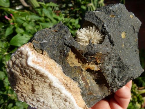 Aragonito<br />Niu Corbu Quarry, Noragugume, Nuoro Province, Sardinia/Sardegna, Italy<br />diámetro: 3 cm<br /> (Autor: nerofis2)