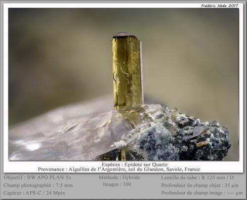 Epidote on Quartz<br />Paso Glandon, Valle de la Maurienne (Vallée de la Maurienne), Saint-Jean-de-Maurienne, Saboya, Auvergne-Rhône-Alpes, Francia<br />fov 7.5 mm<br /> (Author: ploum)