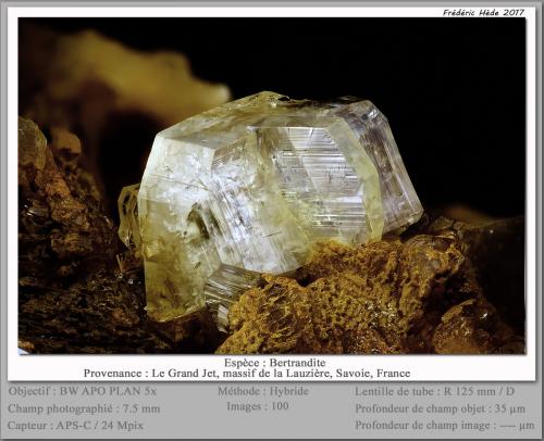 Bertrandite<br />Vallon de la Rave, La Lauzière Massif, Saint-Jean-de-Maurienne, Savoie, Auvergne-Rhône-Alpes, France<br />fov 7.5 mm<br /> (Author: ploum)