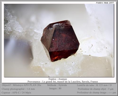 Anatase<br />Vallon de la Rave, La Lauzière Massif, Saint-Jean-de-Maurienne, Savoie, Auvergne-Rhône-Alpes, France<br />fov 1.6 mm<br /> (Author: ploum)