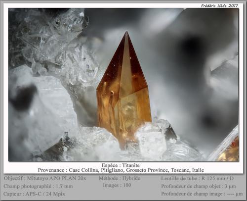 Titanite<br /><br />fov 1.7 mm<br /> (Author: ploum)
