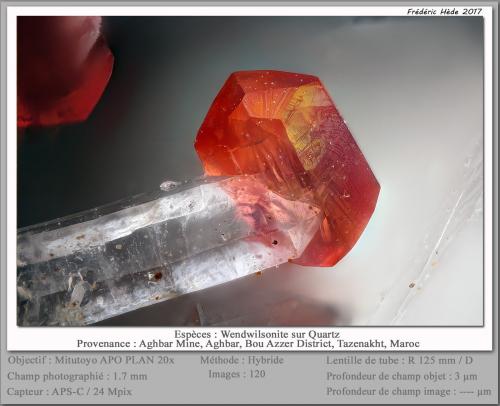 Roselite-Wendwilsonite Series on Quartz<br />Mina Aghbar (Mina Arhbar), Distrito minero Bou Azzer, Provincia Zagora, Región Drâa-Tafilalet, Marruecos<br />fov 1.7 mm<br /> (Author: ploum)
