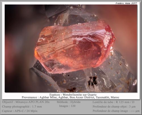 Roselite-Wendwilsonite Series on Quartz<br />Aghbar Mine (Arhbar Mine), Bou Azzer mining district, Zagora Province, Drâa-Tafilalet Region, Morocco<br />fov 1.7 mm<br /> (Author: ploum)