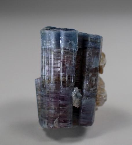 Elbaite (Tourmaline Group)<br />Serra Branca pegmatite, Pedra Lavrada, Borborema, Paraíba, Brazil<br />22 mm x 17 mm x 12 mm<br /> (Author: Don Lum)