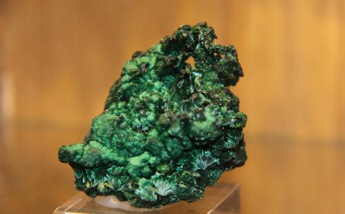 Malachite<br />Kiswishi, Lubumbashi (Elizabethville), Katanga Copper Crescent, Haut-Katanga (Shaba), Democratic Republic of the Congo (Zaire)<br />47 mm x 52 mm x 34 mm<br /> (Author: franjungle)