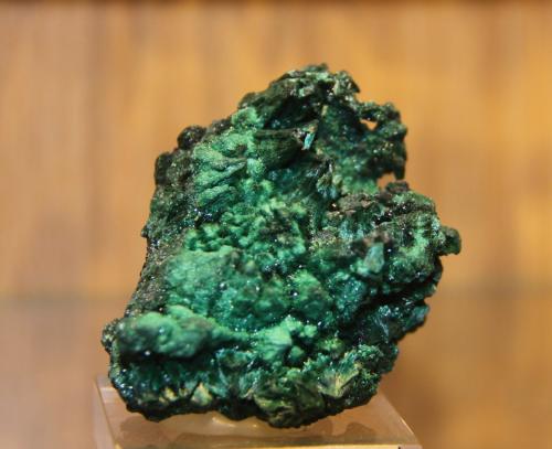 Malachite<br />Kiswishi, Lubumbashi (Elizabethville), Katanga Copper Crescent, Haut-Katanga (Shaba), Democratic Republic of the Congo (Zaire)<br />47 mm x 52 mm x 34 mm<br /> (Author: franjungle)