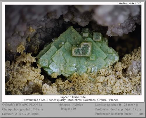 Torbernite<br />Les Roches Quarry, Montebras, Soumans, Boussac, Guéret, Creuse, Nouvelle-Aquitaine, France<br />fov 7 mm<br /> (Author: ploum)