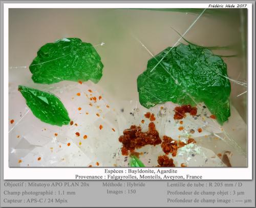 Bayldonite and Agardite<br />Falgayrolles, Monteils, Aveyron et Tarn, Villefranche-de-Rouergue, Aveyron, Occitanie, France<br />fov 1.1 mm<br /> (Author: ploum)