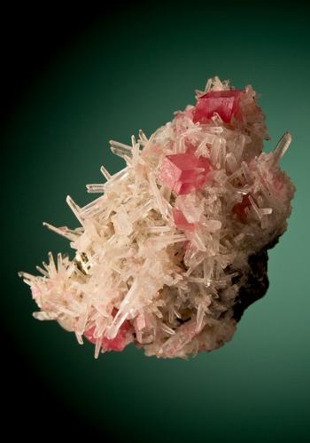 Rhodochrosite<br />Sweet Home Mine, Mount Bross, Alma District, Park County, Colorado, USA<br />6 cm<br /> (Author: Nunzio)