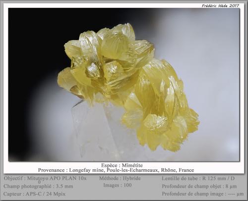 Mimetite<br />Longefay Mine, Poule-les-Echarmeaux, Villefranche-sur-Saône, Rhône, Auvergne-Rhône-Alpes, France<br />fov 3.5 mm<br /> (Author: ploum)