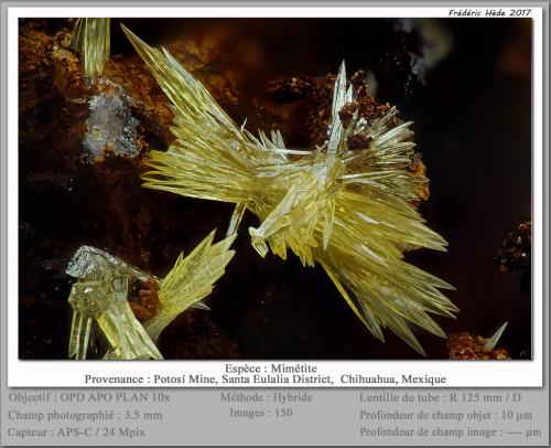 Mimetite<br />Potosí Mine, Santo Domingo (Francisco Portillo), Santa Eulalia District, Municipio Aquiles Serdán, Chihuahua, Mexico<br />fov 3.5 mm<br /> (Author: ploum)