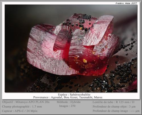 Spherocobaltite<br />Agoudal Mines, Tansifite, Agdz, Bou Azzer mining district, Zagora Province, Drâa-Tafilalet Region, Morocco<br />fov 1.7 mm<br /> (Author: ploum)