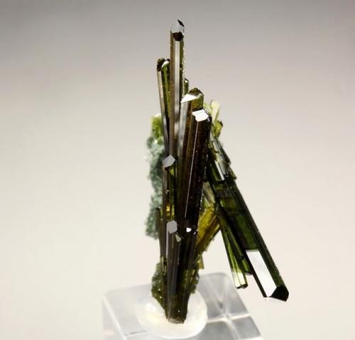 Epidote, Byssolite<br />Knappenwand, Knappenwand area, Untersulzbach Valley, Hohe Tauern, Salzburg, Austria<br />2.9 cm<br /> (Author: Nunzio)