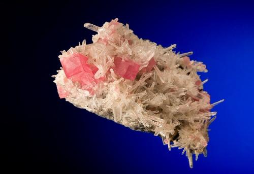 Rhodochrosite<br />Mina Sweet Home, Hedgehog pocket, desvío realce principal, Monte Bross, Distrito Alma, Condado Park, Colorado, USA<br />6 cm<br /> (Author: Nunzio)