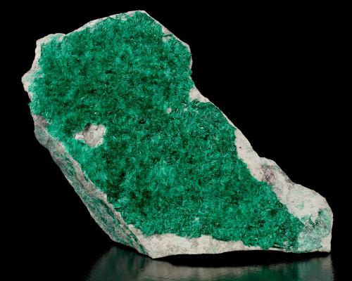 Brochantite<br />Milpillas Mine, Cuitaca, Municipio Santa Cruz, Sonora, Mexico<br />20 cm<br /> (Author: Nunzio)