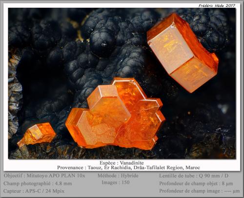 Vanadinite<br />Taouz, Er Rachidia Province, Drâa-Tafilalet Region, Morocco<br />fov 4.8 mm<br /> (Author: ploum)