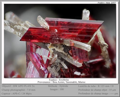 Erythrite<br />Bou Azzer mining district, Drâa-Tafilalet Region, Morocco<br />fov 7.0 mm<br /> (Author: ploum)