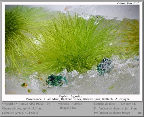 Agardite<br />Clara Mine, Rankach Valley, Oberwolfach, Wolfach, Black Forest, Baden-Württemberg, Germany<br />fov 4.5 mm<br /> (Author: ploum)