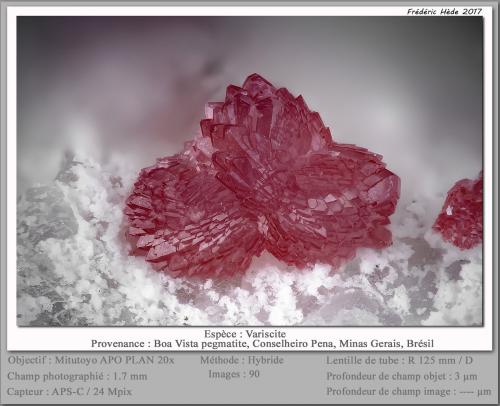 Variscite<br />Boa Vista (Eduardo) Mine, Conselheiro Pena, Vale do Rio Doce, Minas Gerais, Brazil<br />fov 1.7 mm<br /> (Author: ploum)