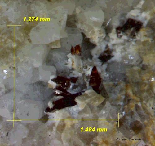 Anatasa.<br />Canteras de Mármol, Macael, Comarca Valle del Almanzora, Almería, Andalucía, España<br />1´484 x 1´274 mm.<br /> (Autor: Jesus Franquesa Baucells)