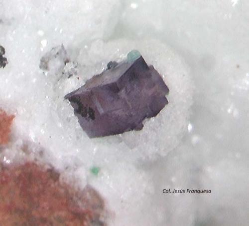 Fluorita.<br />Minas de Benínar, Berja, Comarca Poniente Almeriense, Almería, Andalucía, España<br />0´380 x 0´256 x 0372 mm.<br /> (Autor: Jesus Franquesa Baucells)