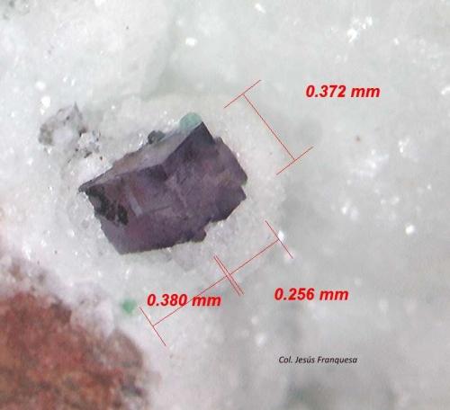 Fluorita.<br />Minas de Benínar, Berja, Comarca Poniente Almeriense, Almería, Andalucía, España<br />0´380 x 0´256 x 0372 mm.<br /> (Autor: Jesus Franquesa Baucells)