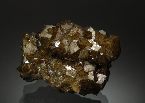 Andradite-Grossular series<br />Huanggang Mines, Hexigten Banner (Kèshíkèténg Qí), Chifeng (Ulanhad), Inner Mongolia Autonomous Region, China<br />3.5 x 5.1 cm<br /> (Author: crosstimber)