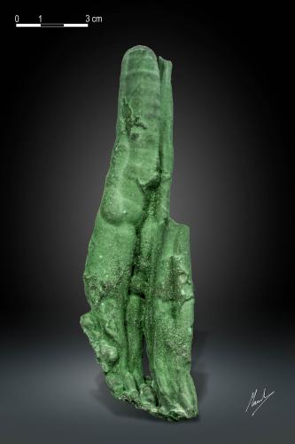 Malachite<br />Mina L'Etoile du Congo (Mina Estrella del Congo), Lubumbashi (Elizabethville), Cinturón de cobre de Katanga, Haut-Katanga (Shaba), República Democrática del Congo (Zaire)<br />147 X 43 mm<br /> (Author: Manuel Mesa)