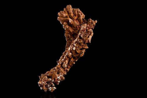 Copper<br />Mina Phoenix, Phoenix, Condado Keweenaw, Michigan, USA<br />10.5	x 10.5 x 19.5 cm<br /> (Author: MIM Museum)