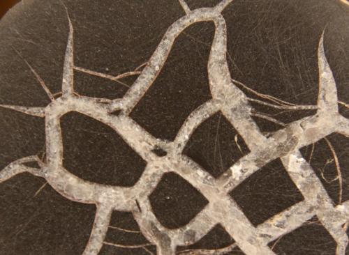Calcite (septarian nodule)<br />Guipúzcoa / Gipuzkoa, País Vasco (Euskadi), España<br />9 cm x 8 cm x 5 cm<br /> (Author: franjungle)